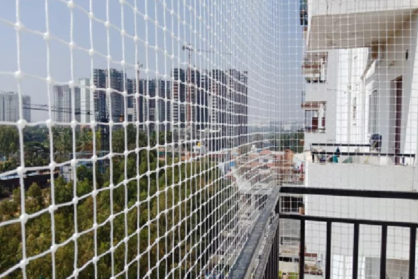 Pigeon Net Surat bird net surat